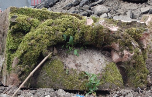 Ra_bbcinerama_fragment1